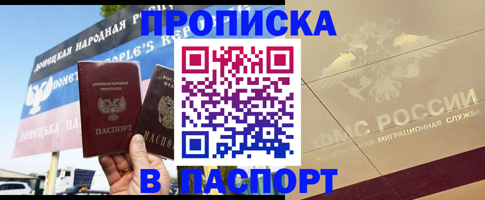 прописка поиск в Камышине